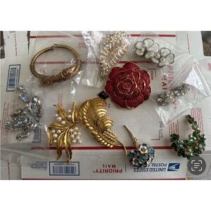 Collections brooches,